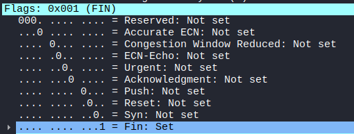 Wireshark FINスキャンのフラグ画像